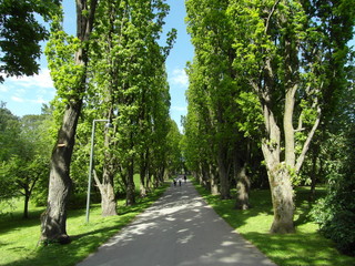 Oslo is a capital of Norway, beautiful city with parks