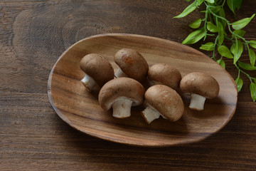 マッシュルーム