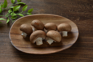 マッシュルーム