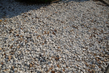 Brown and White pebble stone texture for background. The texture of brown gravel stones.