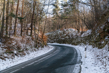 Curved road with trees without leafs on the side during a winter sunset in Germany