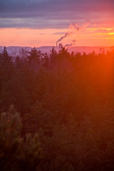 sunset above the forest