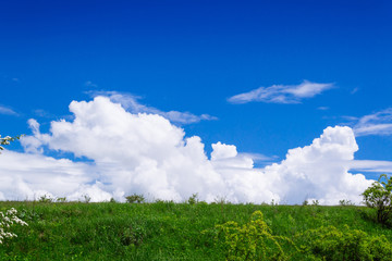 spring yellow field in the village and beautiful sky