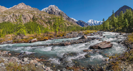 Beautiful mountain landscape. Wild river with a rapid flow. Summer greenery along the banks, snow-capped peaks. Wild places of Siberia, Altai.