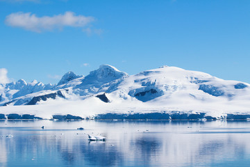 Fototapeta na wymiar Mountains and icebergs between the islands around the Antarctic Peninsula, Palmer Archipelago, Antarctica