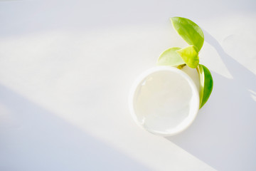 Cosmetic bottle container with green herbal leaves, empty label packaging for branding layout, natural organic beauty product concept. Top view. Copy space.