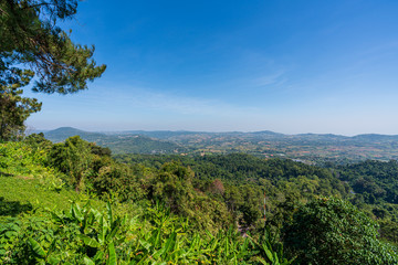 Obraz premium beautiful blue sky high peak mountains mist fog wildlife green forest at Khao Koh Phu Tub Berk Phetchabun Thailand guiding idea long weekend for backpacker camping campfire relaxing hiking 