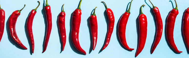 Top view of ripe chili peppers on blue background, panoramic shot