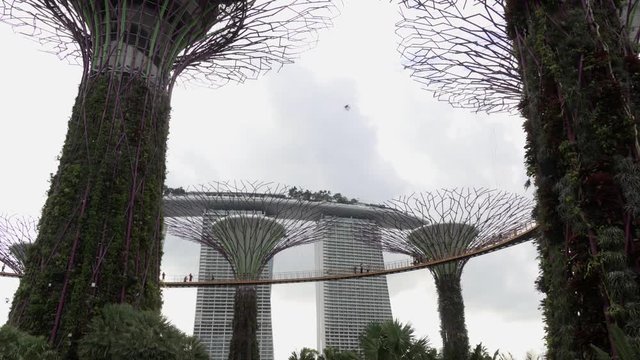 Walking through Gardens by the Bay in Singapore looking up at pedestrians on the OCBC Skyway