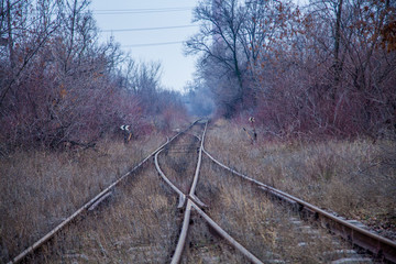 railway in the forest
