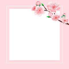 Spring sale square banner with beautiful pale pink flower. Web banner template on square. Social media banner, posters, brochure, voucher discount. Sakura watercolor illustration card
