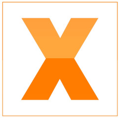 The letter x,  made light orange and dark orange, half-and-half. Same colors turn upside down and used in frame. On white background