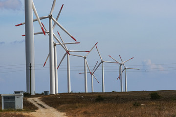 Wind generators. Green electricity. Cape Kaliakra, Bulgaria. Black Sea.