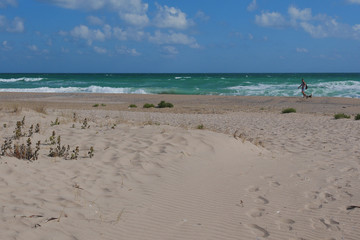Fototapeta na wymiar A man walks with a dog on the seashore. It is autumn and the beach is empty.