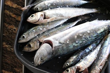 Sea fish with salt on the pan