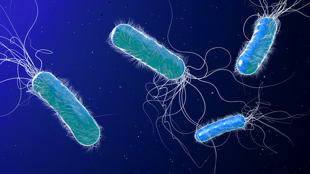 Blue colored multiple antibiotic resistant Pseudomonas aeruginosa bacterium - 3d illustration