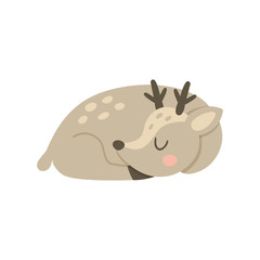 sleeping deer