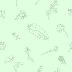 Flower background - Vector seamless pattern of rose, tulip, chamomile, carnation, iris, callai, orchid, narcissus, sunflower, chrysanthemum and astra for graphic design