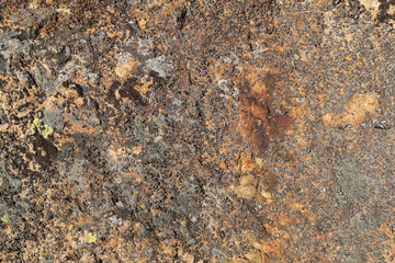Flat close magmatic rock texture with moss and cracks