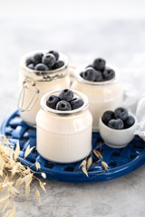 Non-dairy alternative. Vegetable milk or yogurt in a jar on a white background. Oat cream in a glass jar and fresh blueberry on a blue stand and sprigs of oats. Healthy eating concept. Copy space