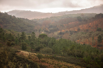 Fototapeta na wymiar Landscape of Andalusia