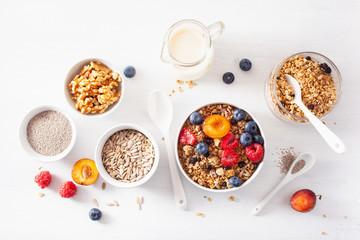healthy granola for breakfast with berry fruit nut, plant milk