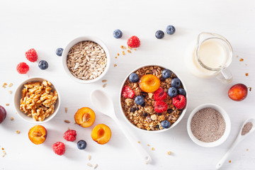 healthy granola for breakfast with berry fruit nut, plant milk - obrazy, fototapety, plakaty
