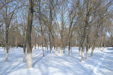 On the streets of the city on a winter day