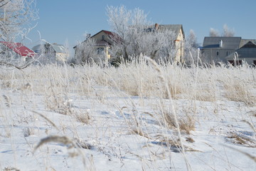 Winter landscape in forest and fields