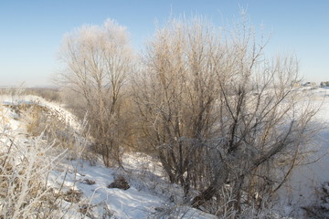 Winter landscape in forest and fields