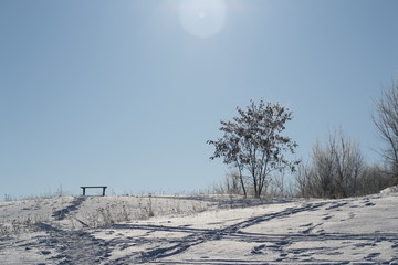 Winter landscape in forest and fields