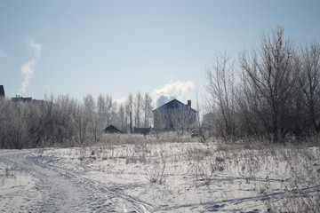 Winter landscape in forest and fields