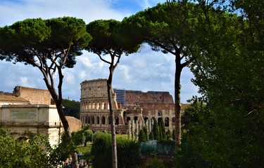 The Colosseum