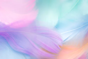 Zelfklevend Fotobehang pastel colour feather abstract background © chachamp