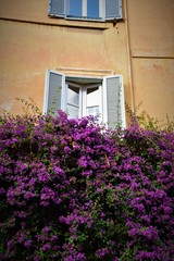 Fototapeta na wymiar Flowered italian window