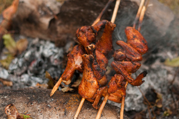 Closeup of a barbecue grill with drumstick