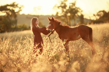 A farmer girl walks a horse in a yellow meadow.