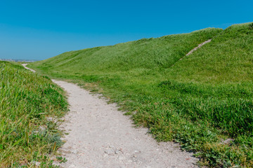 Fototapeta na wymiar Summer landscape- path on the hill