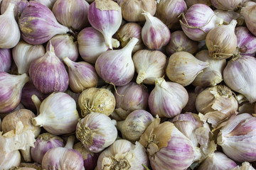 Background texture of white garlic. Fresh garlic, spices for cooking wholesome and delicious food...