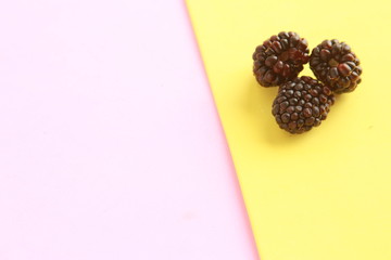 delicious blackberries on colorful background