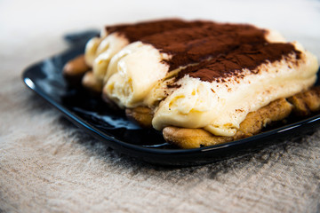 Classical Dessert homemade Tiramisu Cake