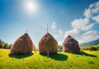 Three holes of hay on a green lawn. Colorful morning view of Rogojel village. Splendid summer scene...