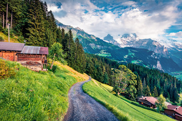Naklejka na ściany i meble Fresh morning scene of Wengen village. Colorful outdoor view of Swiss Alps, Bernese Oberland in the canton of Bern, Switzerland, Europe. Beauty of nature concept background..