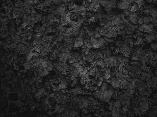 black and white background