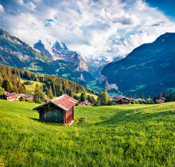 Old chalet on the lawn in Wengen village. Green morning scene of countryside in Swiss Alps, Bernese Oberland in the canton of Bern, Switzerland, Europe. Beauty of nature concept background.