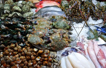 Stalls of the seafood . Mussel, Oyster, Spotted babylon, Red snapper, White smapper, Squid,...
