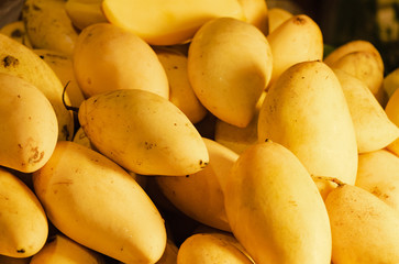 Mango yellow tropical fruit. Texture and background concept.