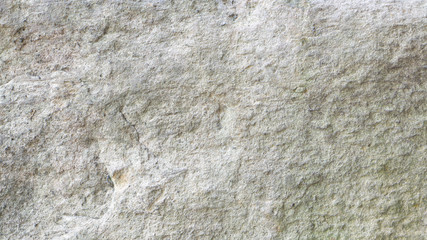 The surface of the big brown stone.