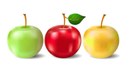 Three apples isolated on white background. Vector illustration