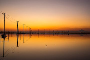 夕暮れの海中電柱